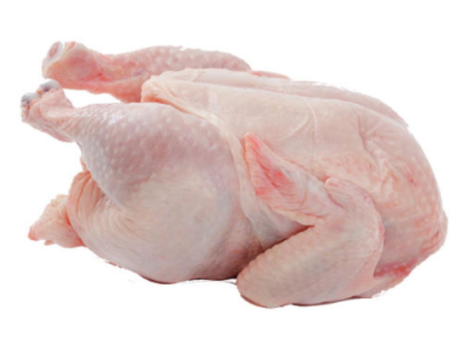 Chicken — Foodservice & Processing