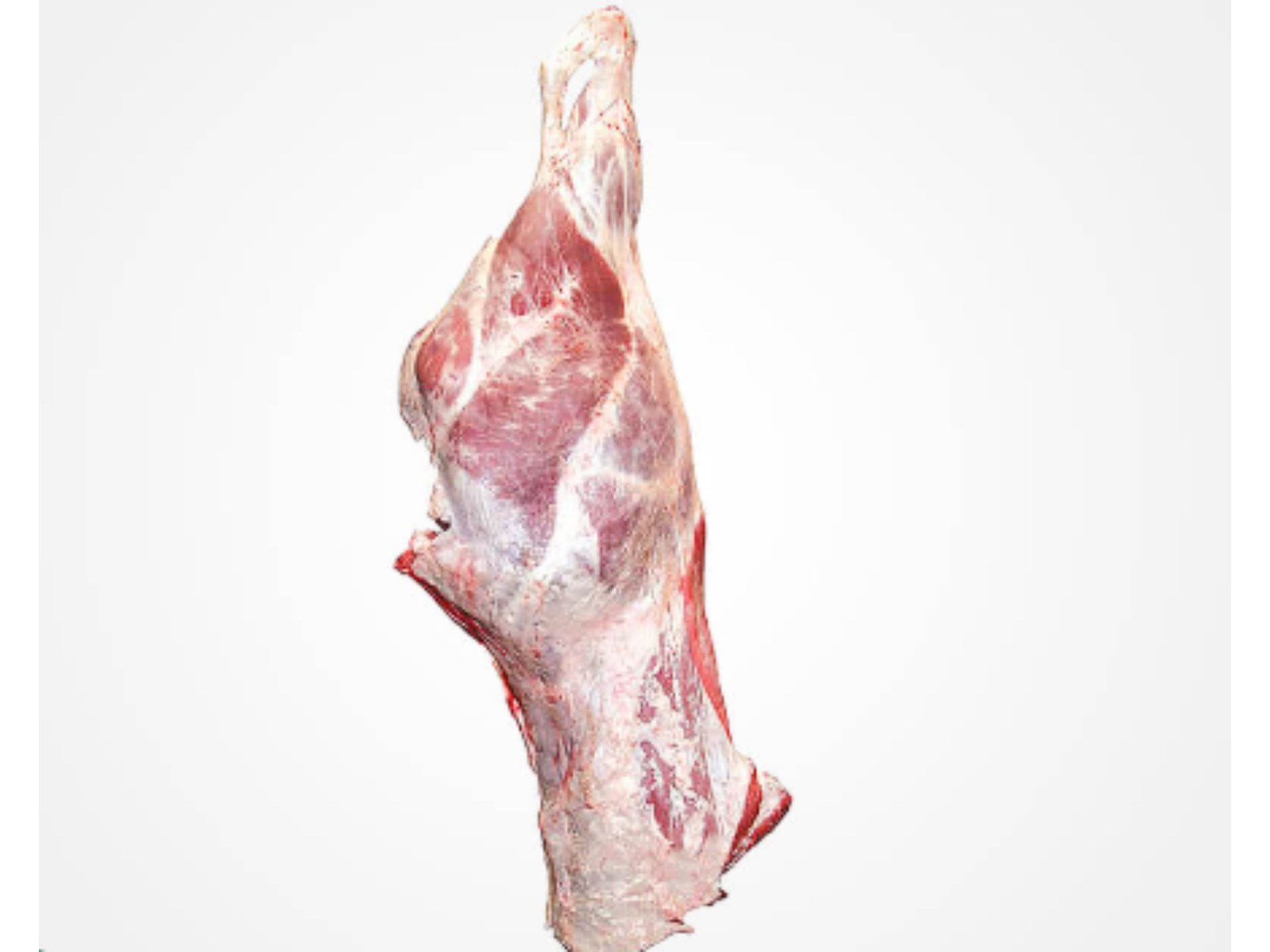 Beef Hindquarter Cuts