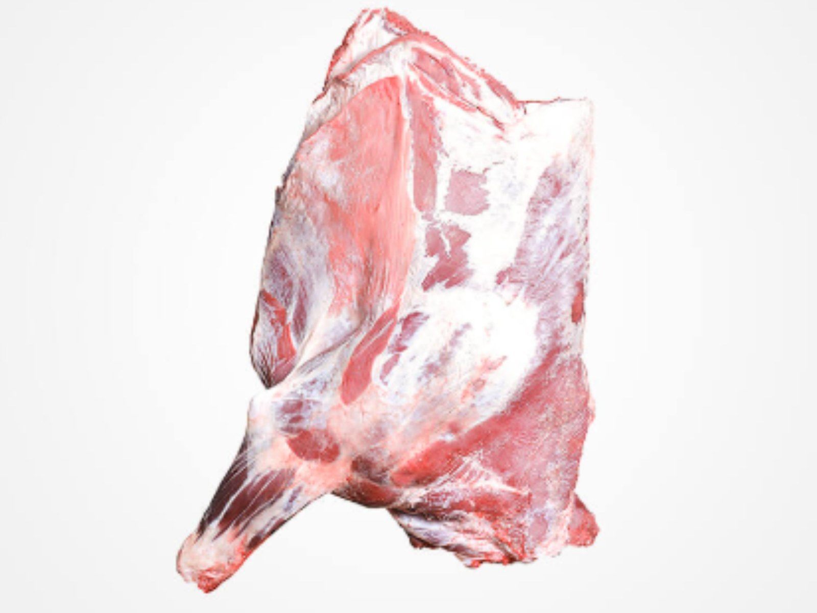 Beef Forequarter Cuts